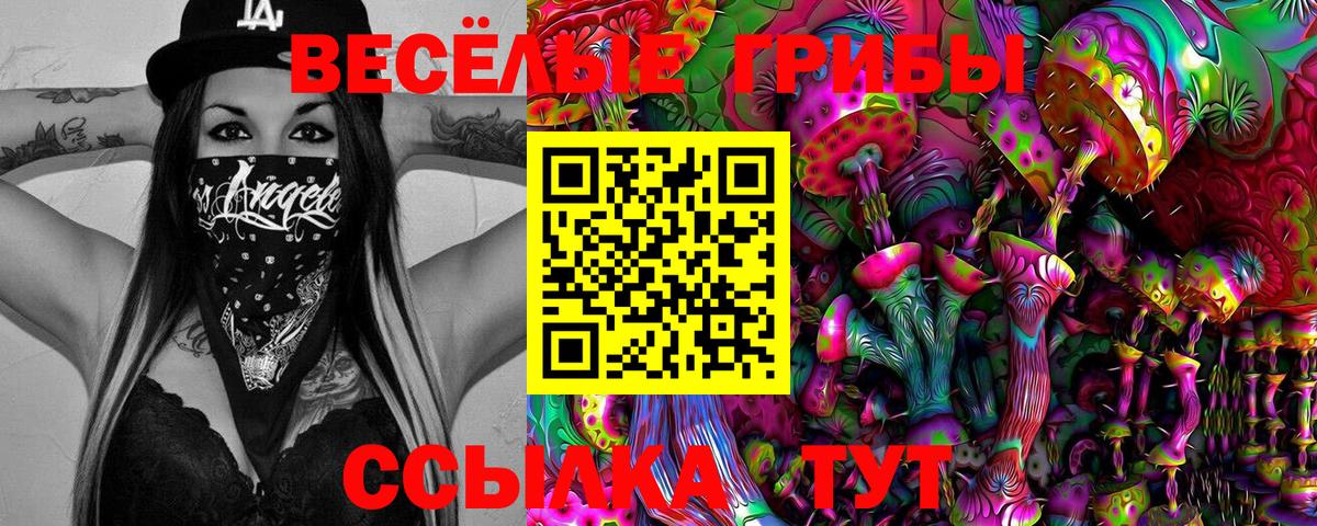 Галлюциногенные грибы Psilocybe Каменск-Шахтинский