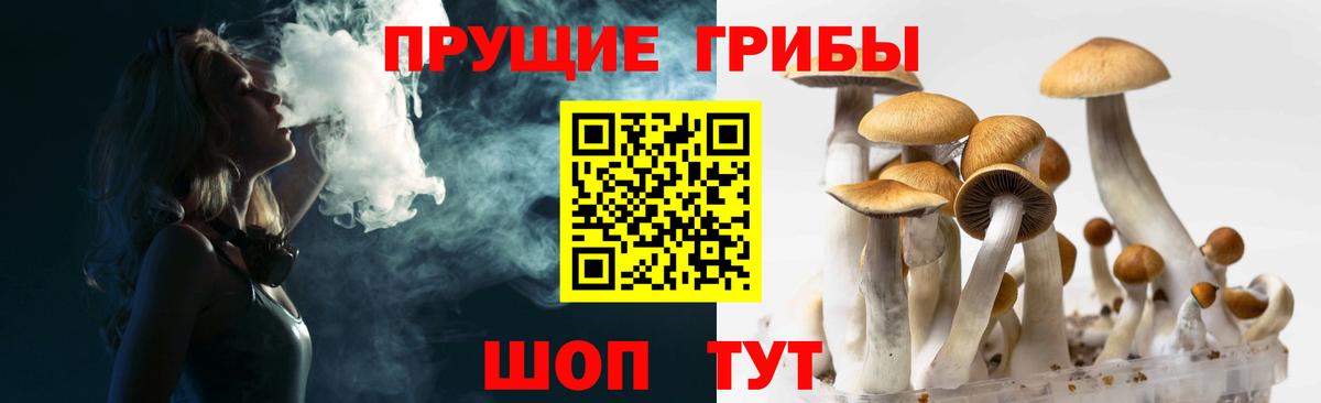 Псилоцибиновые грибы Magic Shrooms  Вход с VPN  Каменск-Шахтинский 